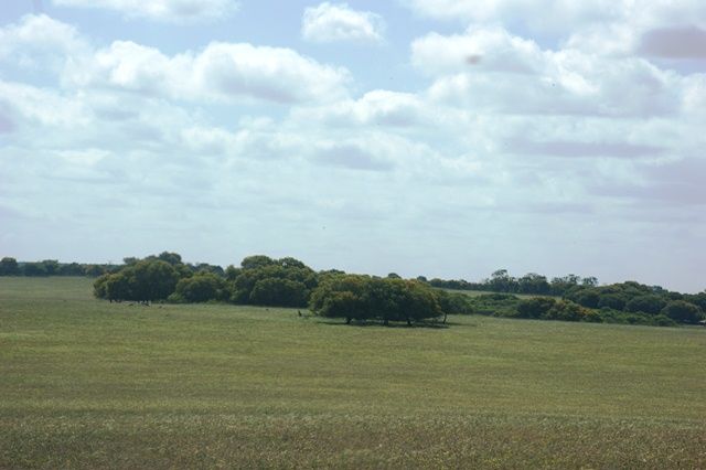 Lot 51 Mt Horner Road West, ALLANOOKA, WA 6525