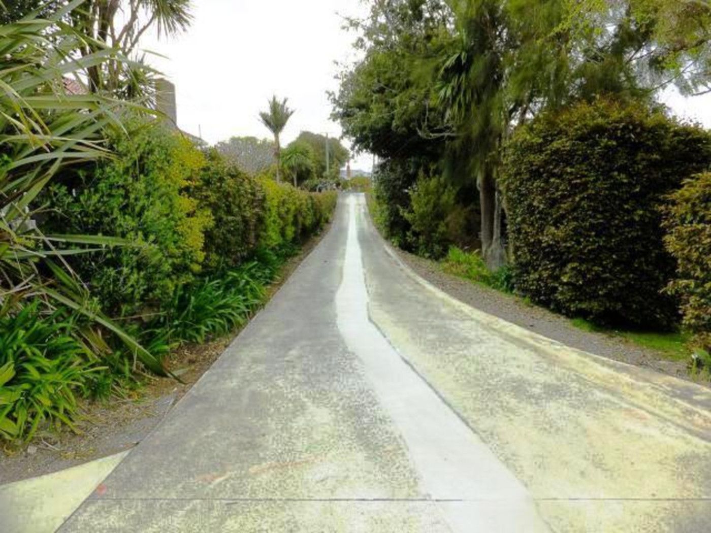 15 Olsen Avenue, HILLSBOROUGH, Auckland City