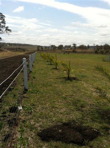 Lot 18 Morris-Ganzer Road, GOWRIE JUNCTION, QLD 4352