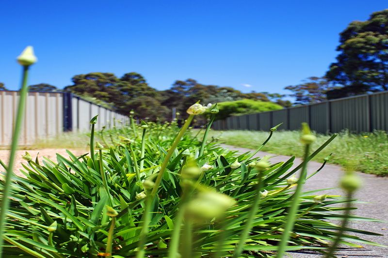 Lot 2 Alpina Place, WORRIGEE, NSW 2540