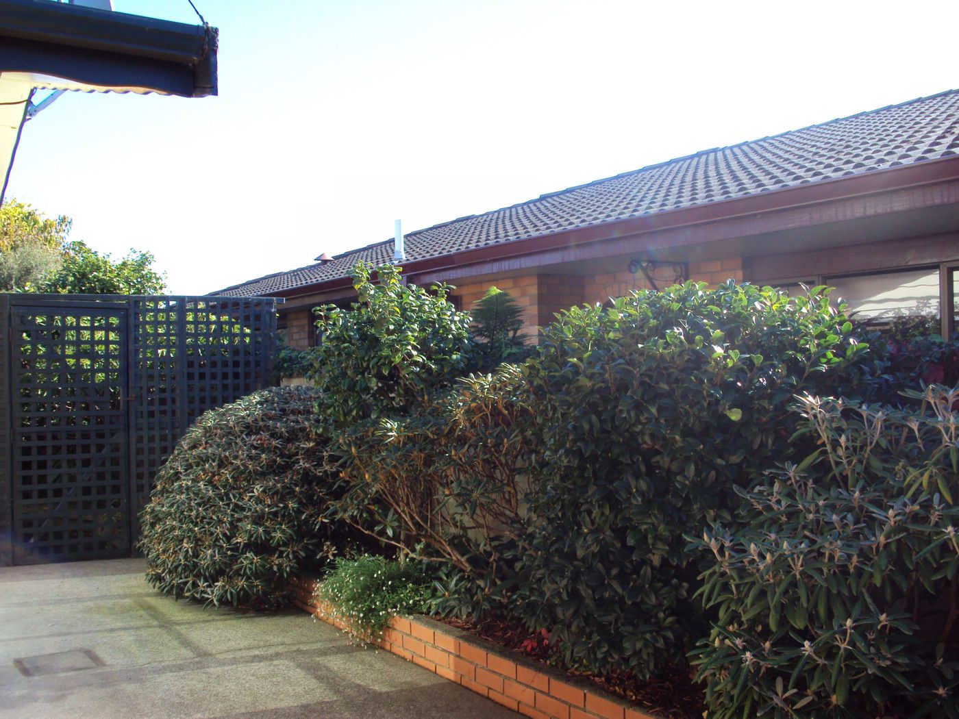 GLADSTONE, Invercargill