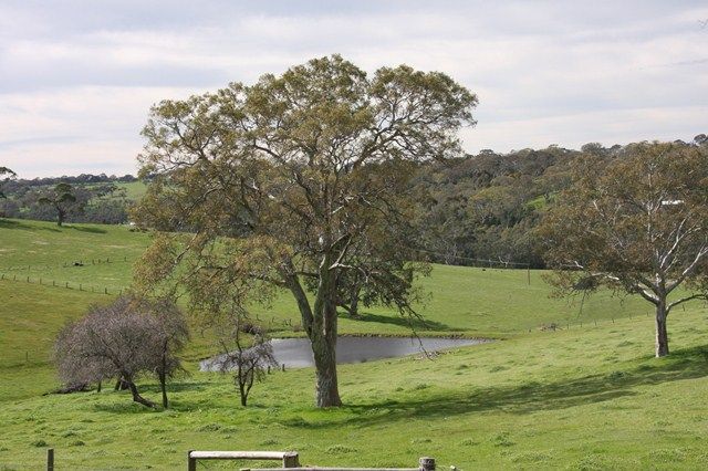 2637 Strathalbyn Road, MACCLESFIELD SA 5153