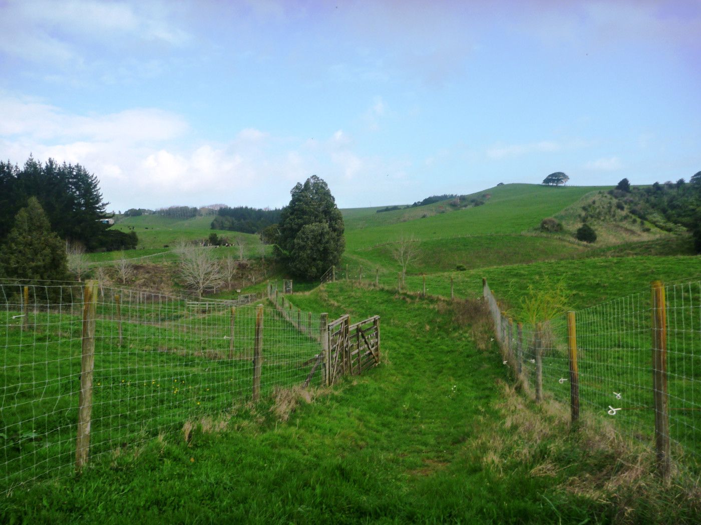 Puni, Franklin