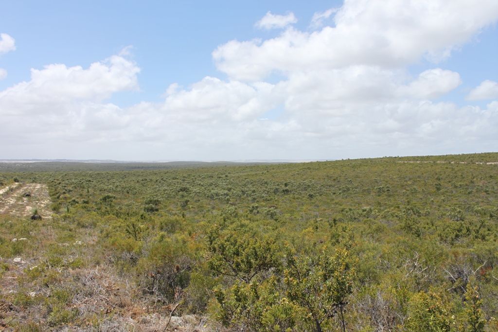 Lot 247 Zendora Road, JURIEN BAY, WA 6516