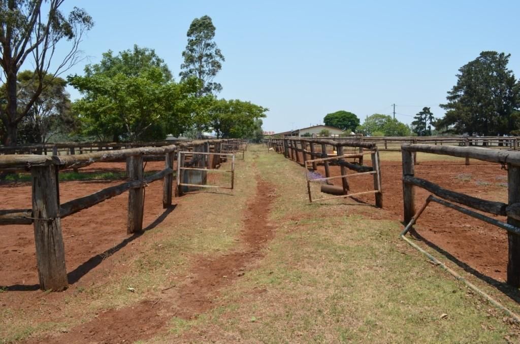 186 Hursley Road, GLENVALE, QLD 4350