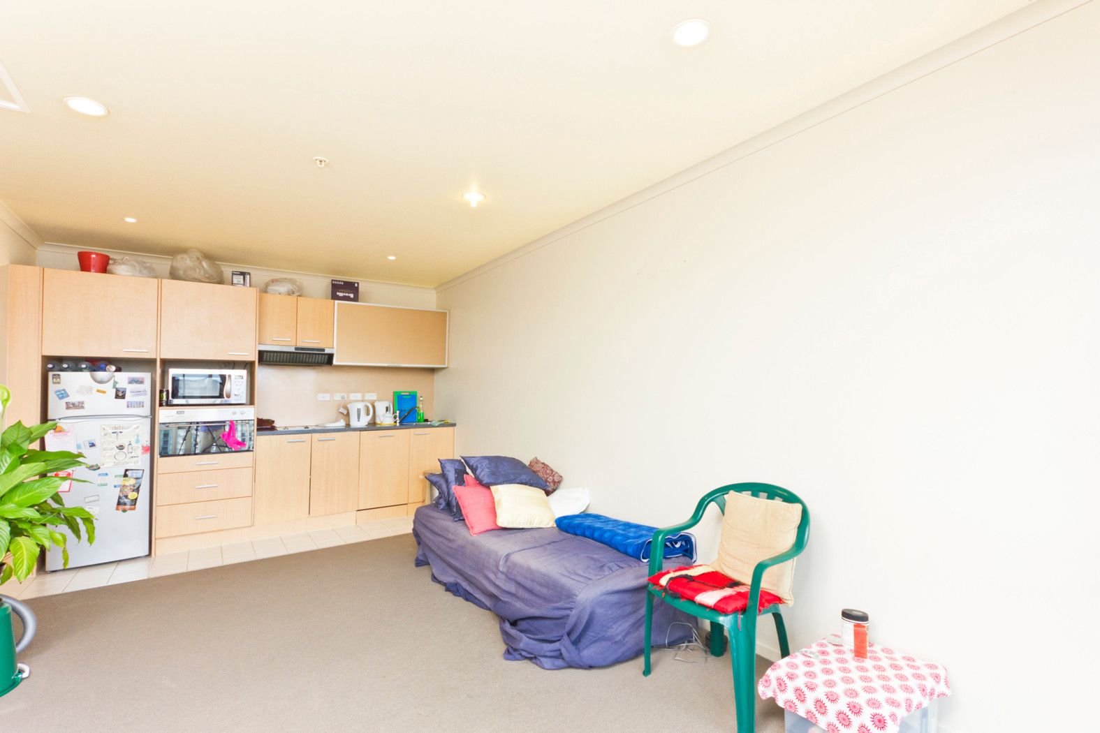 AUCKLAND CENTRAL, Auckland City