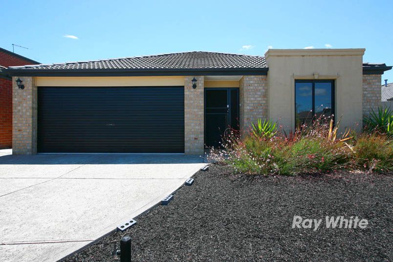 15 Osmington Circle, NARRE WARREN SOUTH VIC 3805