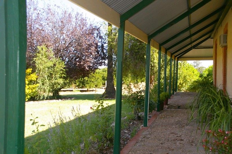 164 Tarcoola Street, Renmark, SA 5341