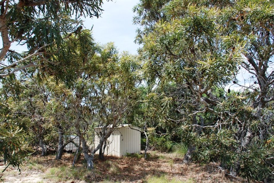 Lot 154 Jurien Bay Vista, JURIEN BAY, WA 6516
