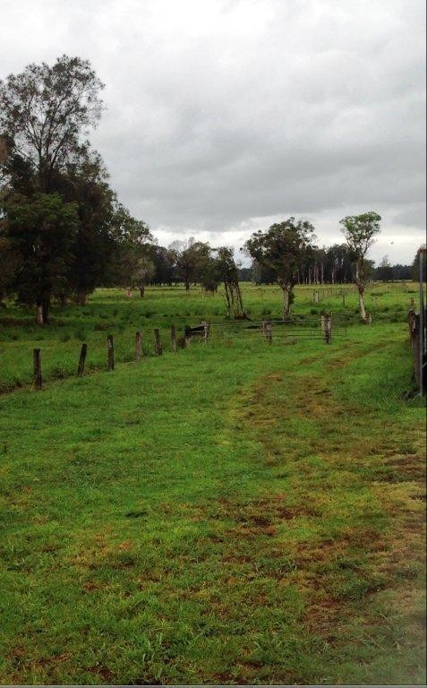 MOTO, NSW 2426