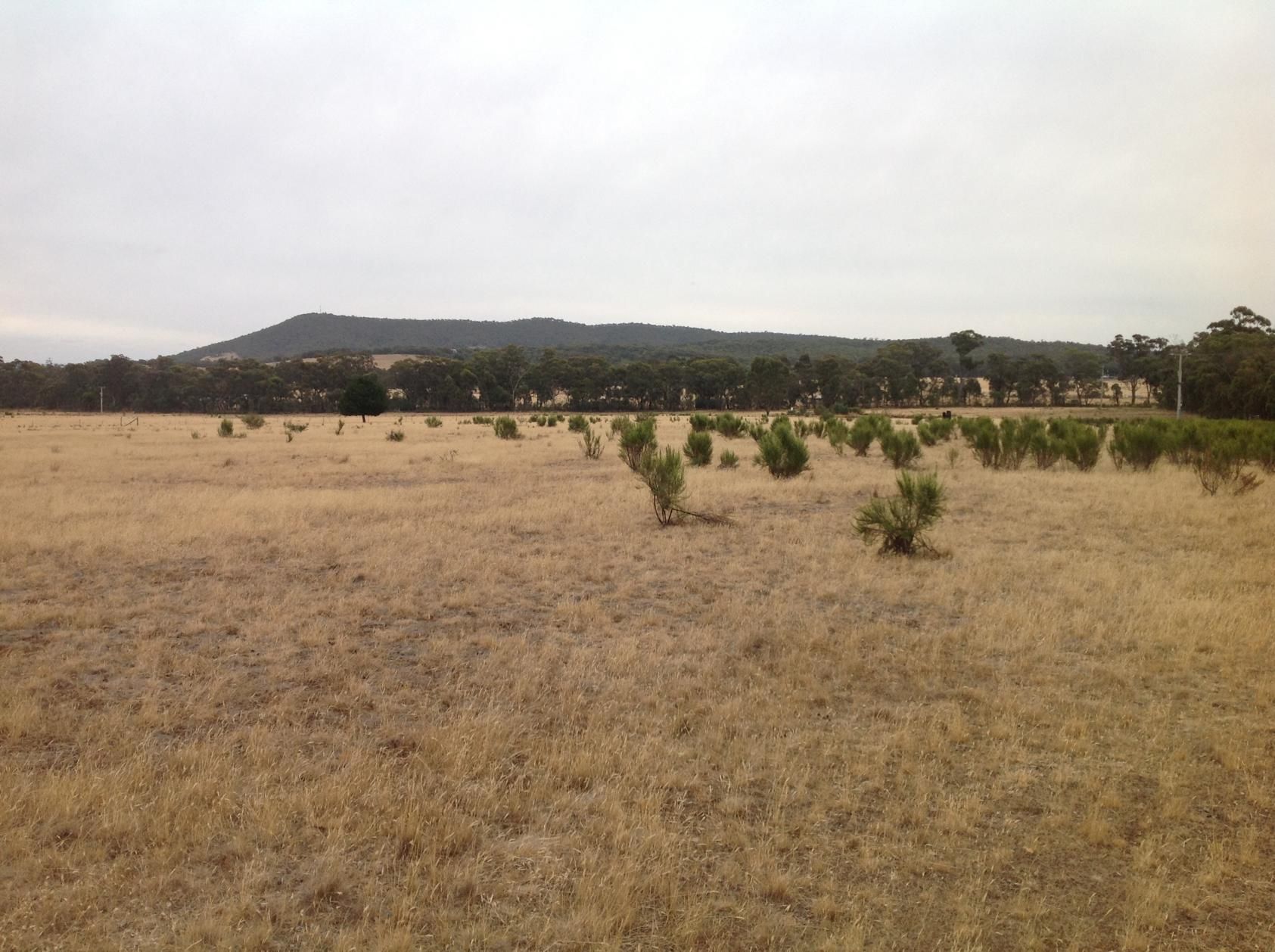 Lot 1 North Costerfield Road, HEATHCOTE, VIC 3523
