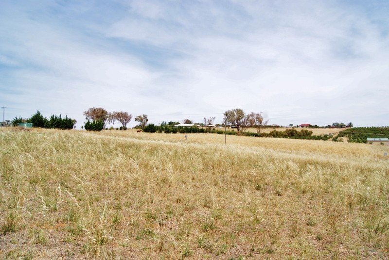 30 Jasprizza Lane, YOUNG, NSW 2594
