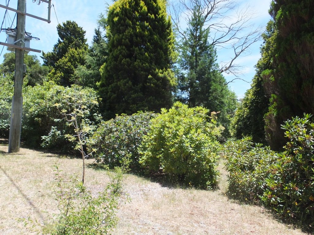 24 Sylvania Street, MOUNT VICTORIA, NSW 2786