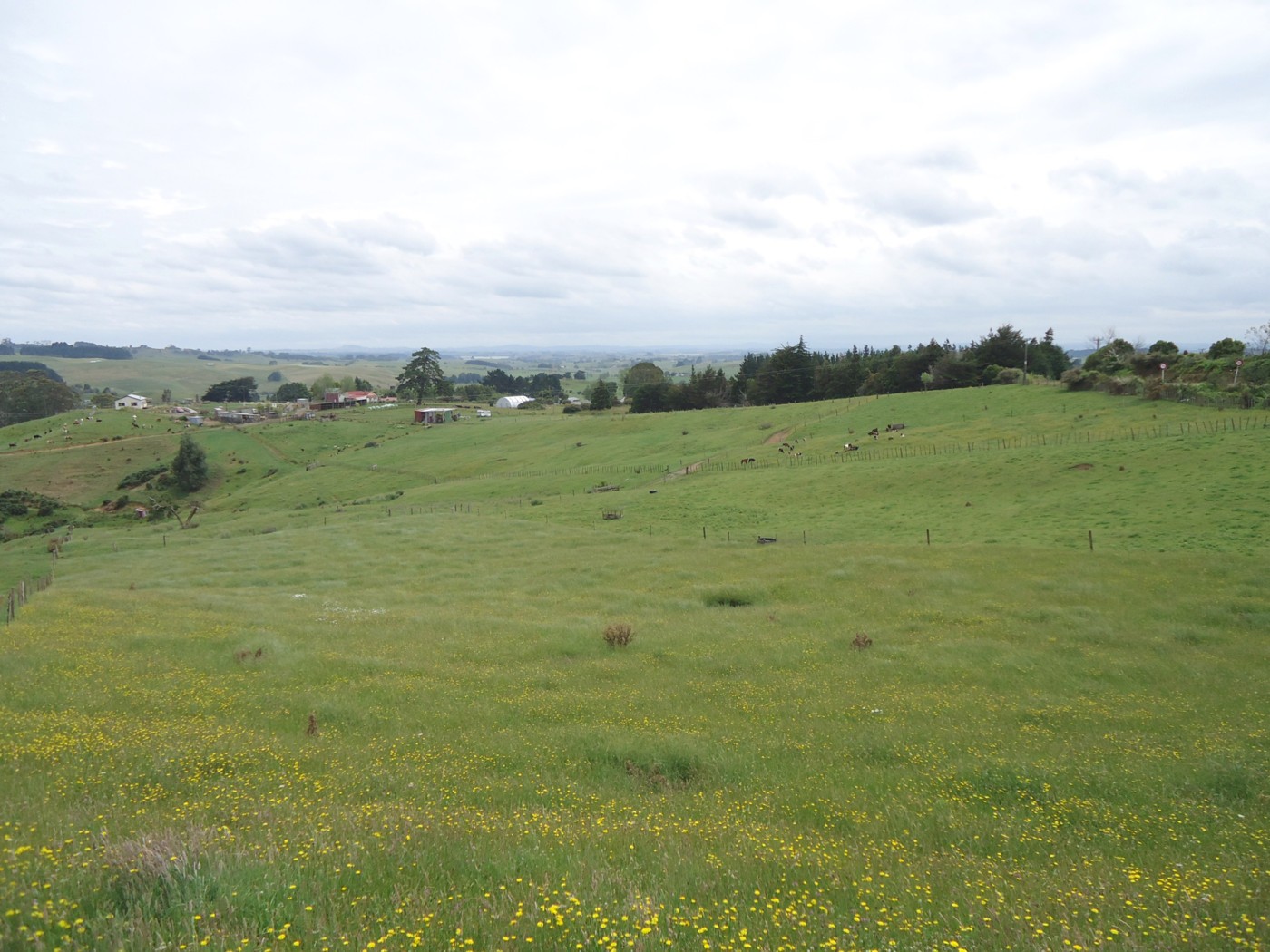 35b Renown Road, HUNTLY, Waikato District