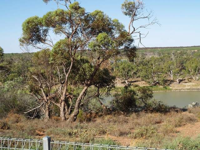 1459 Cadell Valley Road, CADELL, SA 5321