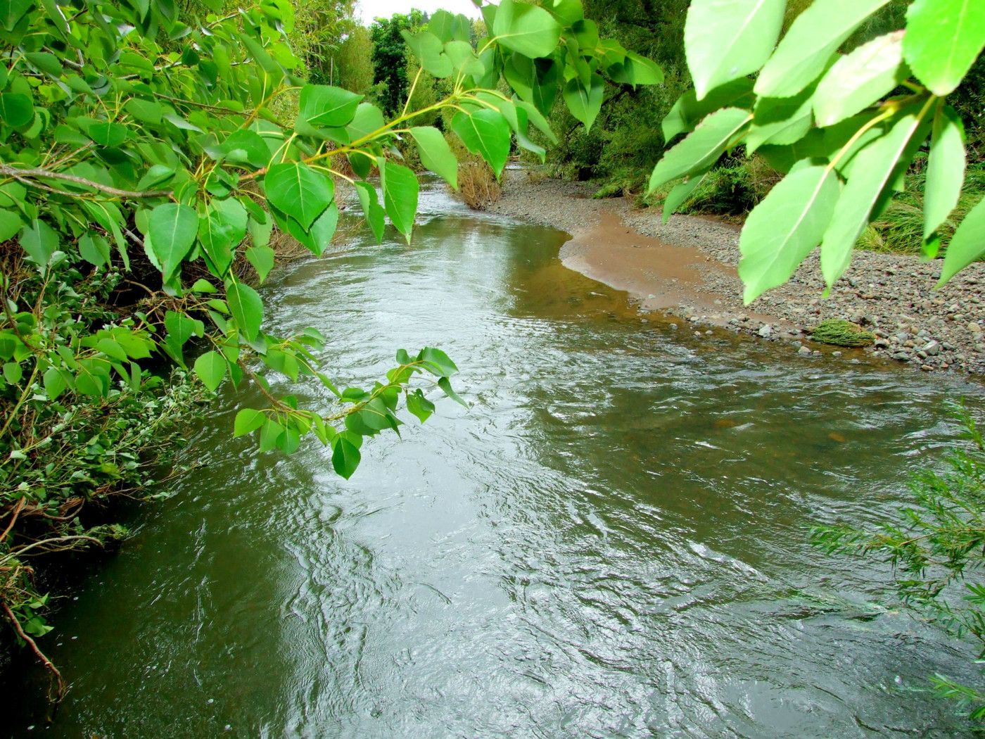Takahue, Far North District