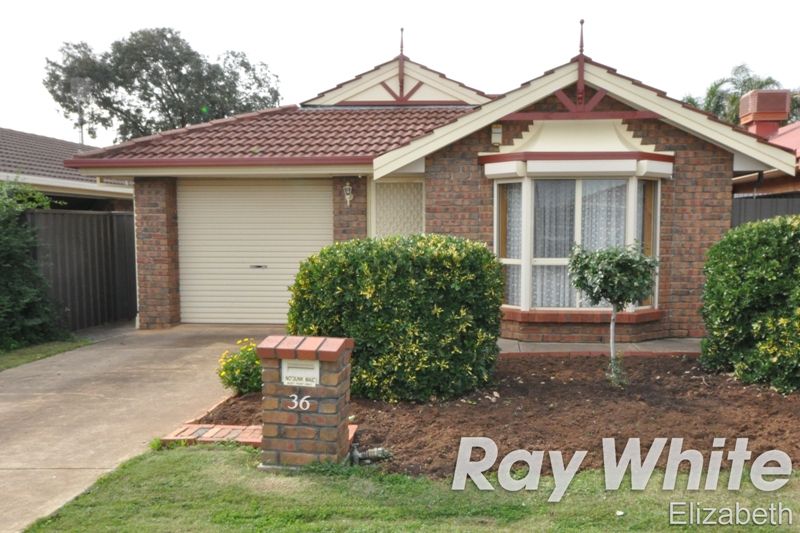 36 Parkview Drive, BLAKEVIEW SA 5114