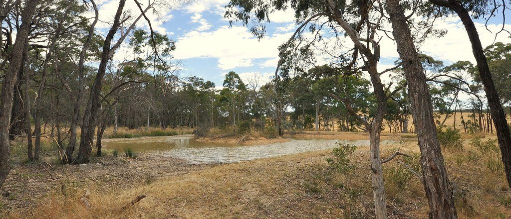 Lot 8 Rifle Butts Road, BEAUFORT, VIC 3373