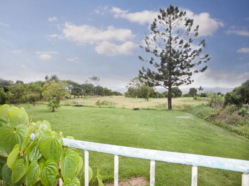 MURWILLUMBAH, NSW 2484