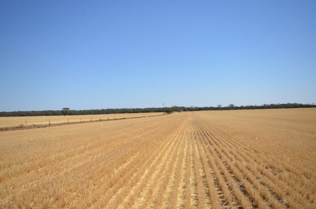 Sec 173, PASKEVILLE, SA 5552