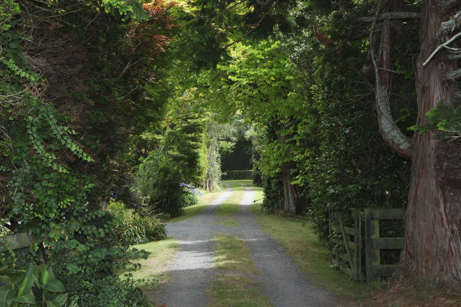 473 Kaipaki Road, Kaipaki, OHAUPO, Waipa District
