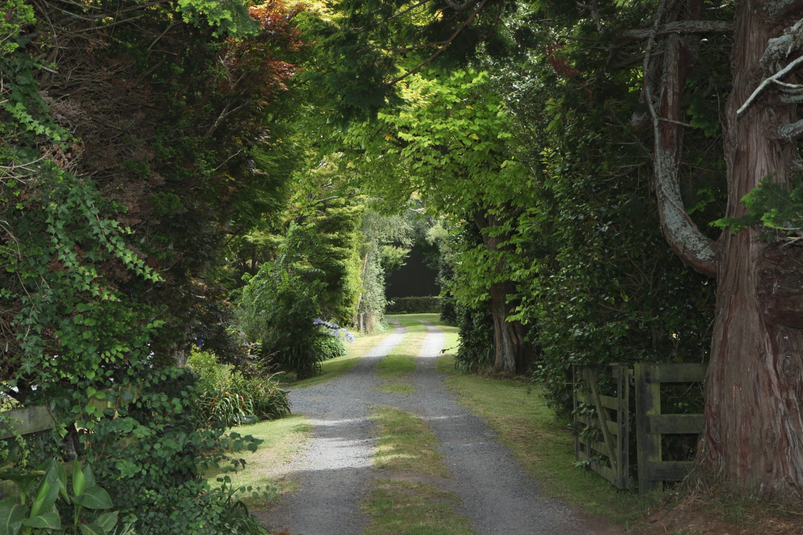 473 Kaipaki Road, Kaipaki, OHAUPO, Waipa District