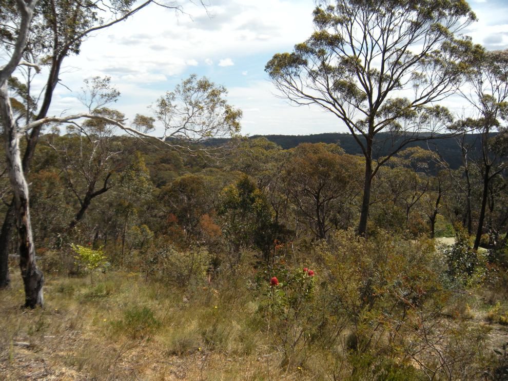 347 Chifley Road, DARGAN, NSW 2786