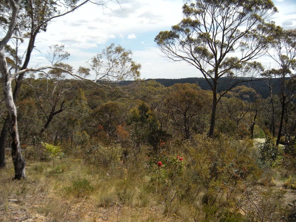 347 Chifley Road, DARGAN, NSW 2786