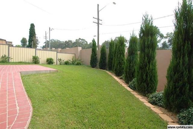 186 Epping Road, MARSFIELD, NSW 2122