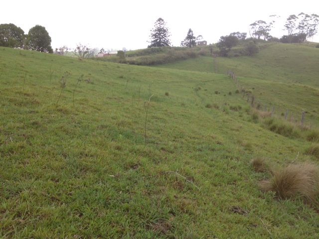 1490 Brisbane - Woodford Road, MOUNT MEE, QLD 4521