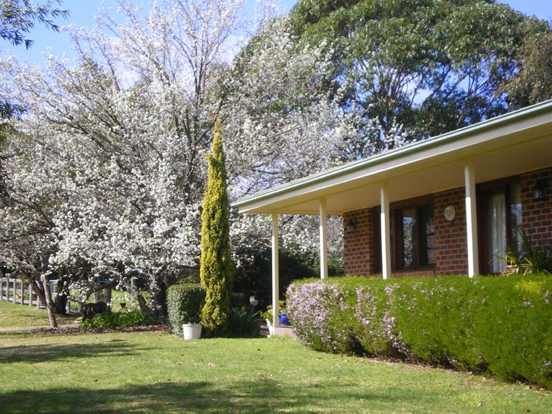 10 Wiltshire Lane, BODALLA NSW 2545