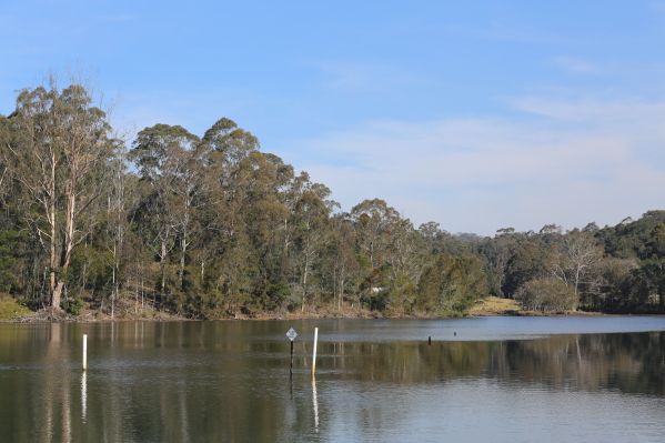 Lots 103 & 104 Wagonga Scenic Drive, NAROOMA NSW 2546