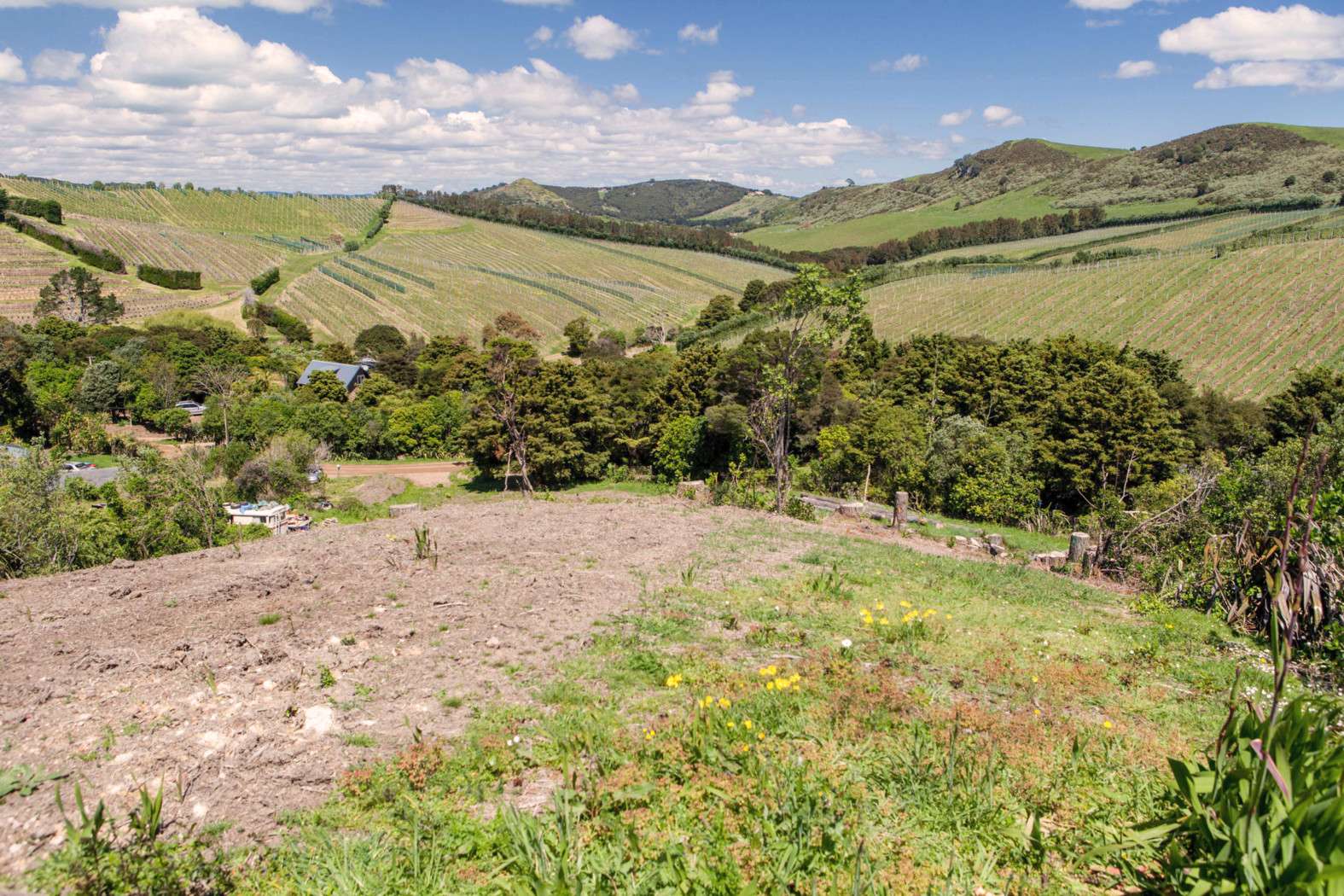 Waiheke Island 1081, Waiheke Island Real Estate