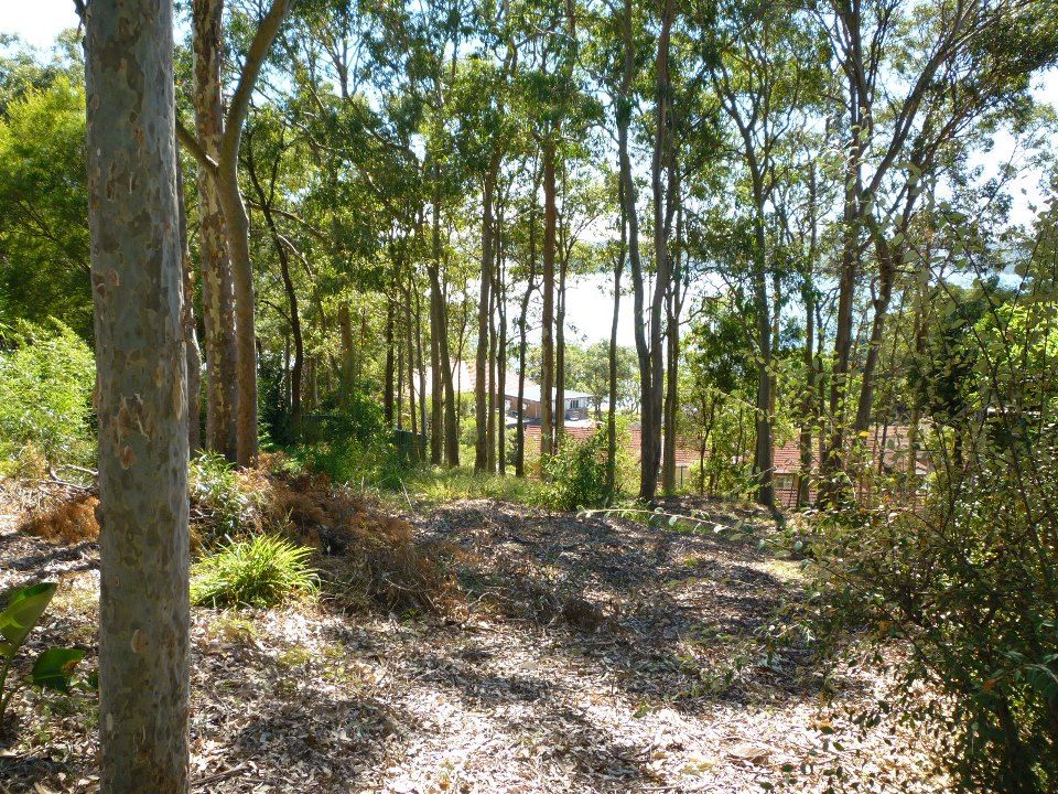 BOLTON POINT, NSW 2283