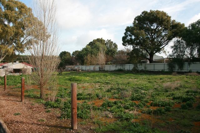 Lot 11 Young Street, AUBURN, SA 5451