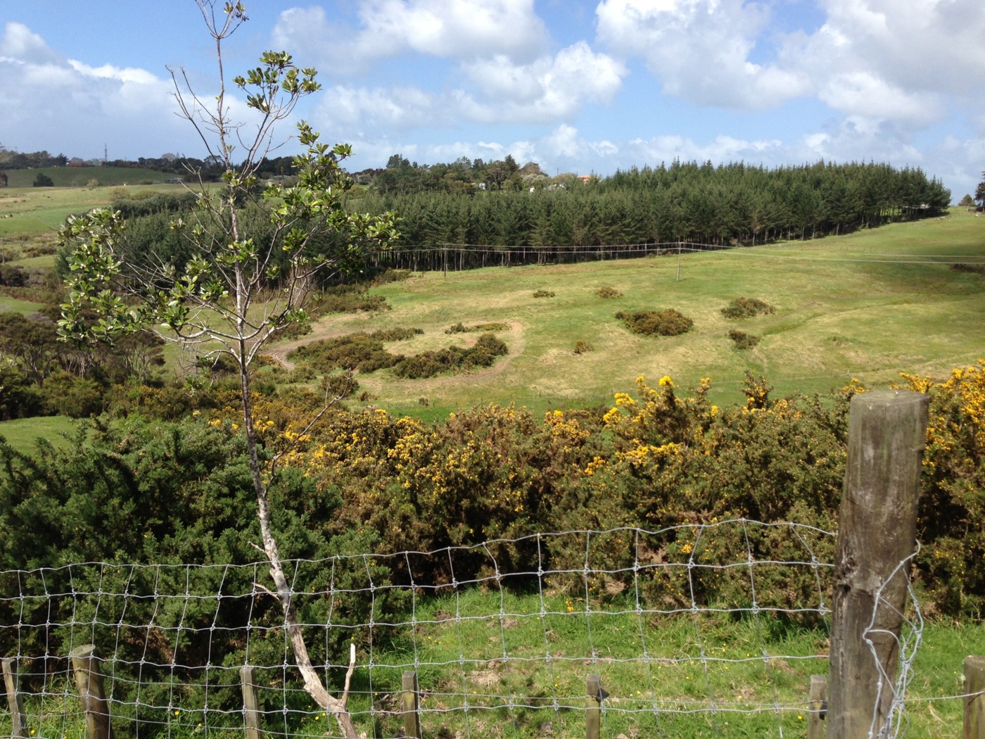 2045 East Coast Road, SILVERDALE, Rodney
