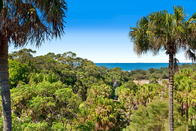 59 The Drive, STANWELL PARK, NSW 2508