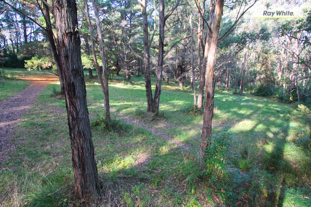 2-6 Bourke Road, RED HILL, VIC 3937
