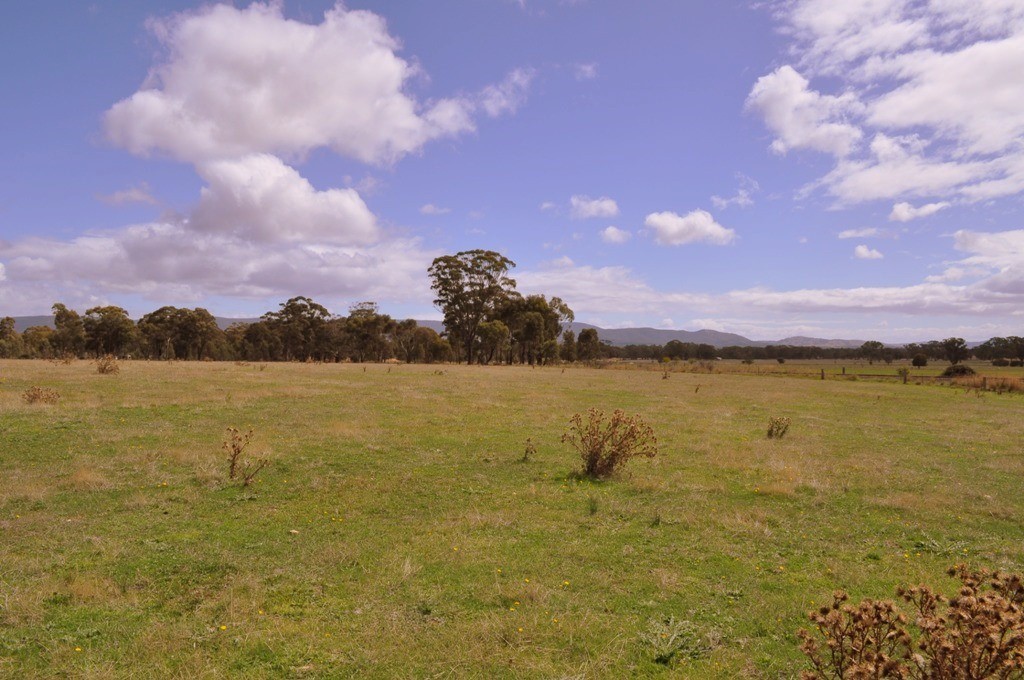 Lot 1 Redpath Track, AVOCA, VIC 3467