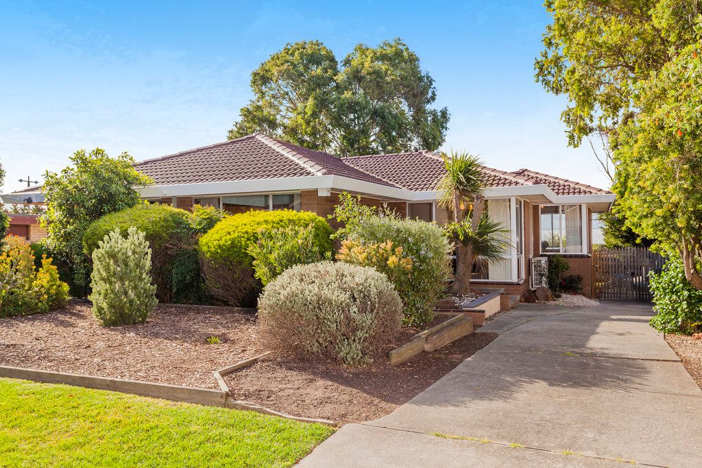 78 Peter Street, GROVEDALE VIC 3216