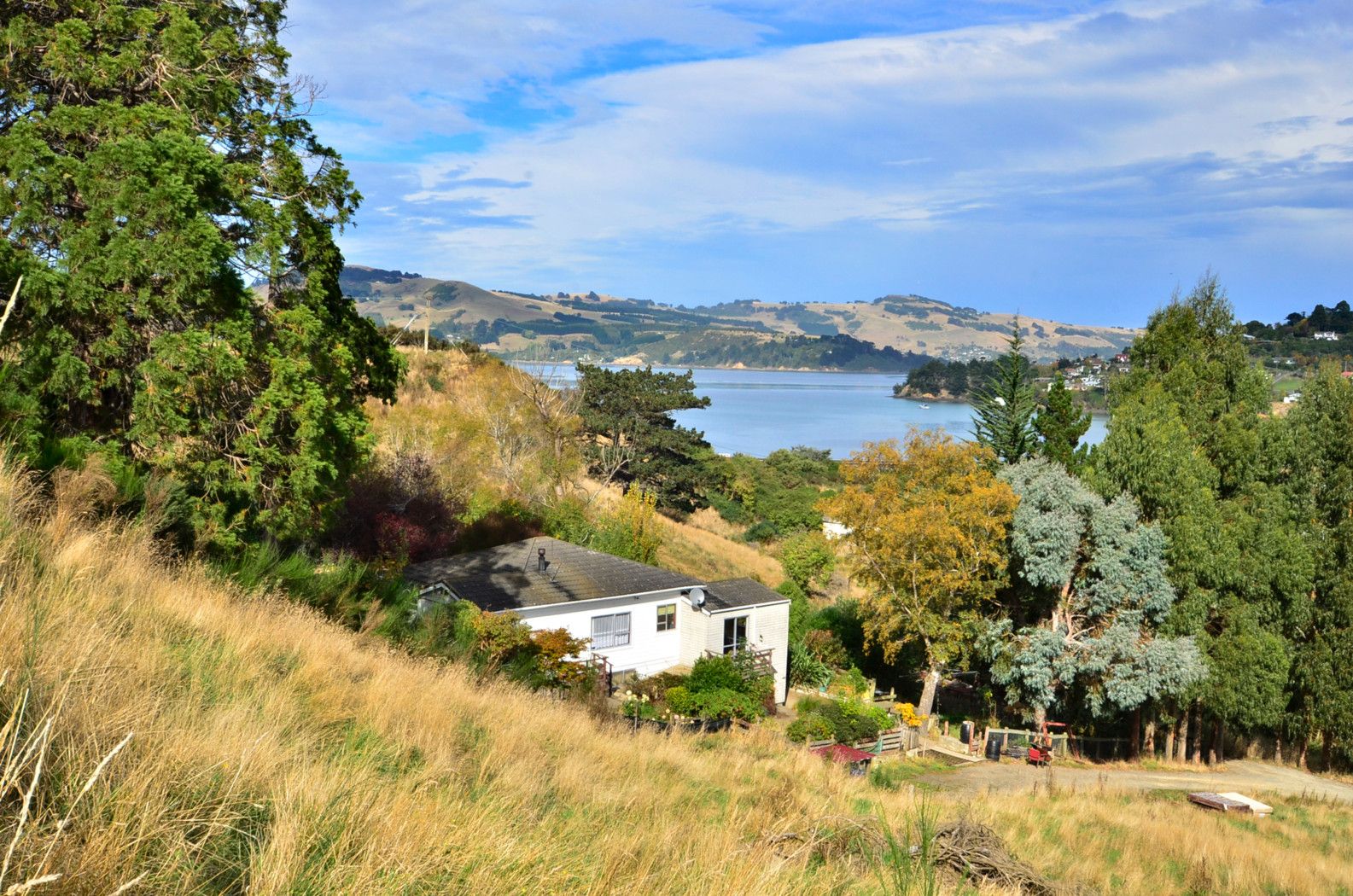 SAWYERS BAY, Dunedin City