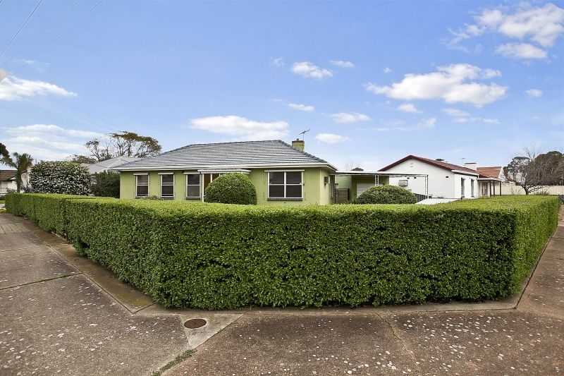 42 Ryan Avenue, WOODVILLE WEST, SA 5011
