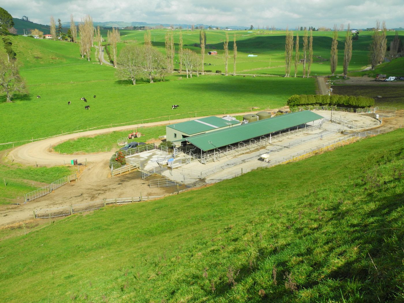 157 Waverley Road, TE AWAMUTU, Waipa District