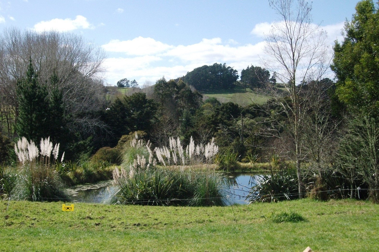 PAPAROA, Kaipara District