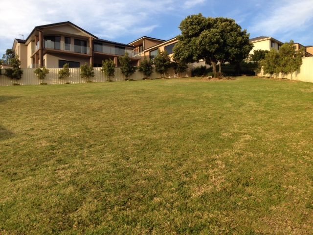 4 Ibis Place, BLACKBUTT, NSW 2529