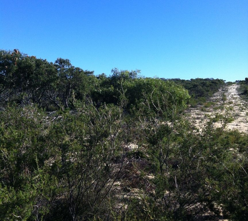 Lot 1 Wren Way, JURIEN BAY, WA 6516