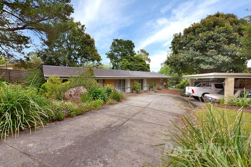 5 Waratah Avenue, THE BASIN, VIC 3154