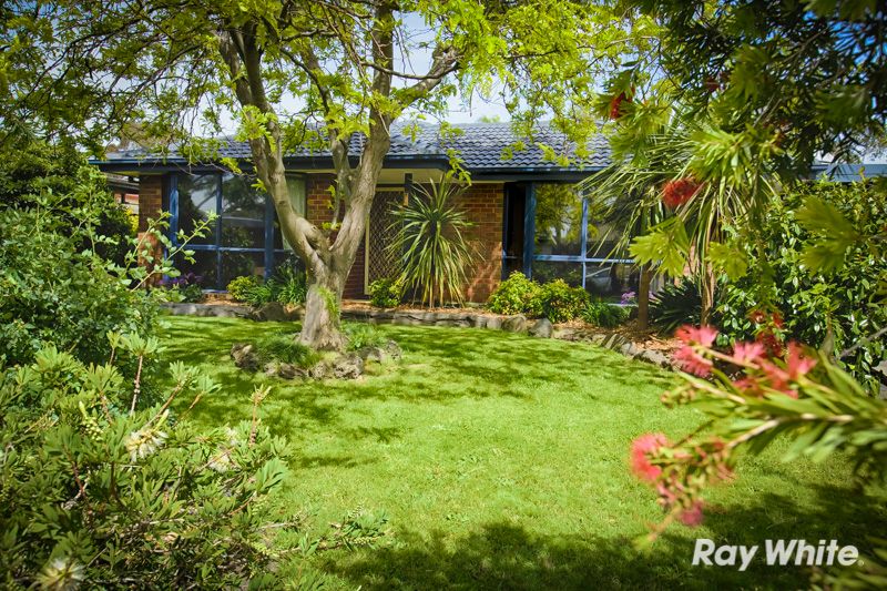5 Harness Place, PAKENHAM, VIC 3810
