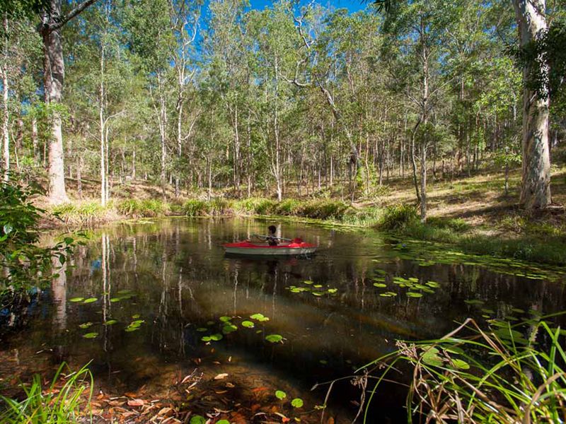 634 Yandina-bli Bli Road, BLI BLI, QLD 4560