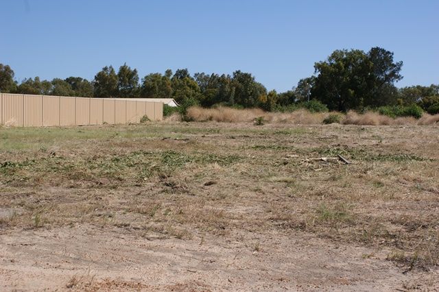 14 Cardwell Gardens, DONGARA, WA 6525